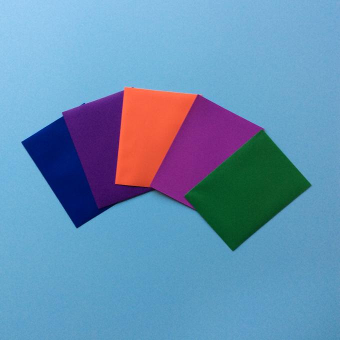 Kundengebundene bunte Front klare pp. der hohen Qualität zurück färben bereifte kleine Plastikkartenärmel